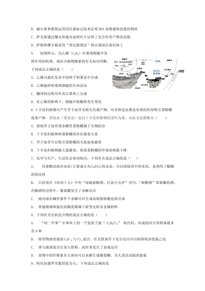 2019届高三理综11月月考(期中)试题.doc_第2页