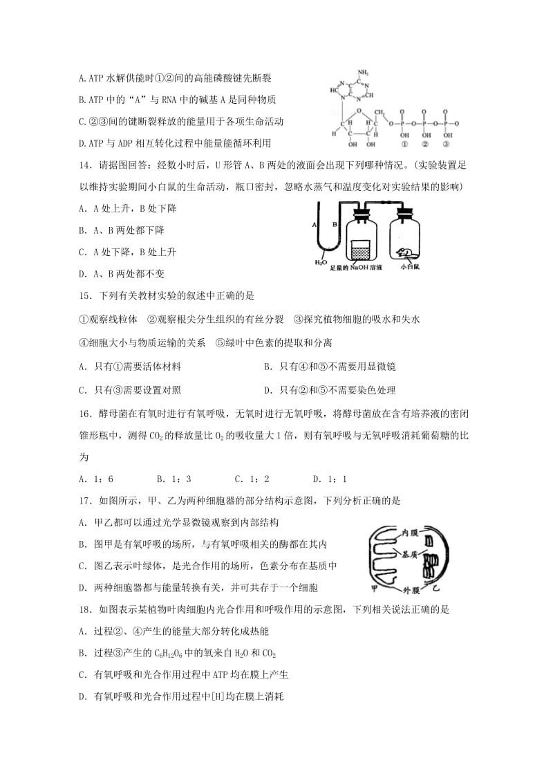 2019版高一生物下学期期中试题 (III).doc_第3页