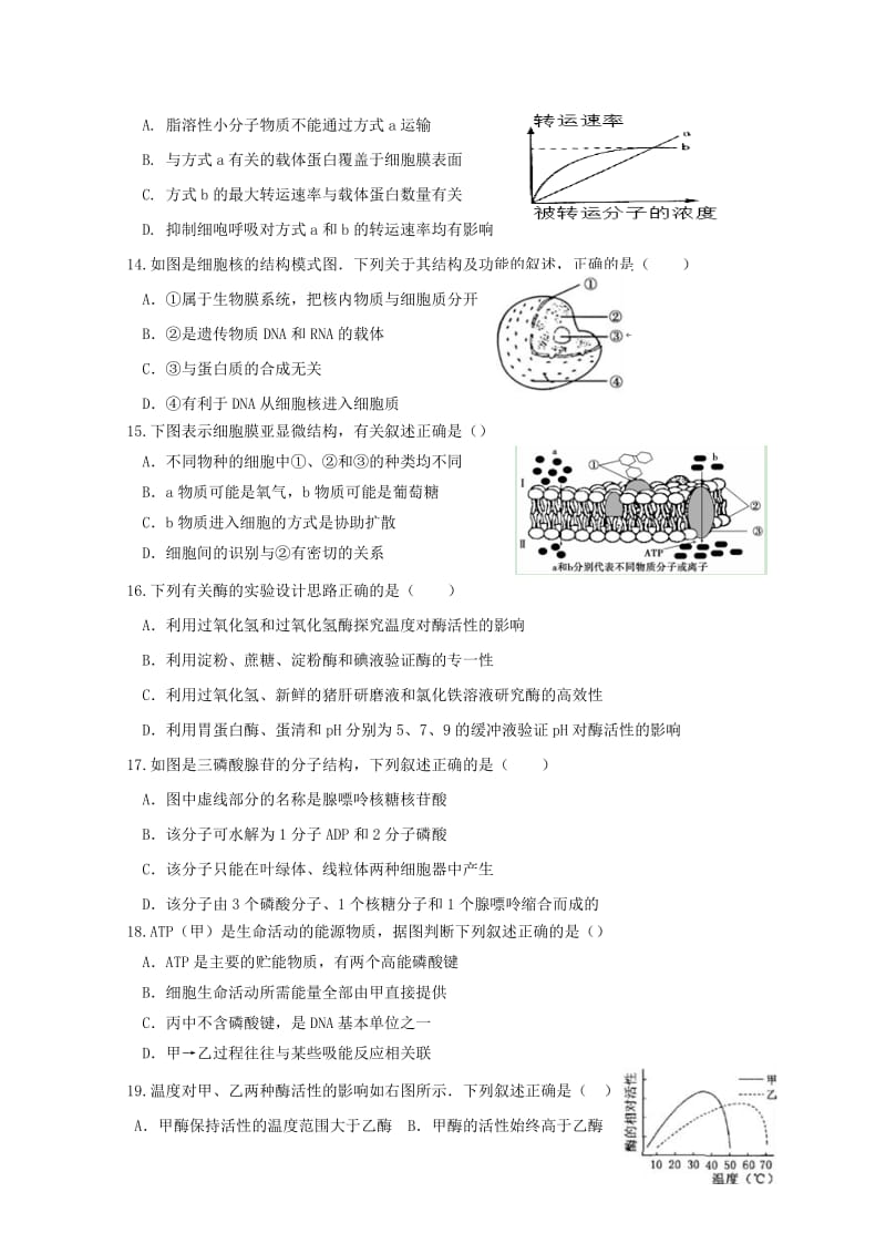 2019-2020学年高一生物上学期第二次月考试题.doc_第3页