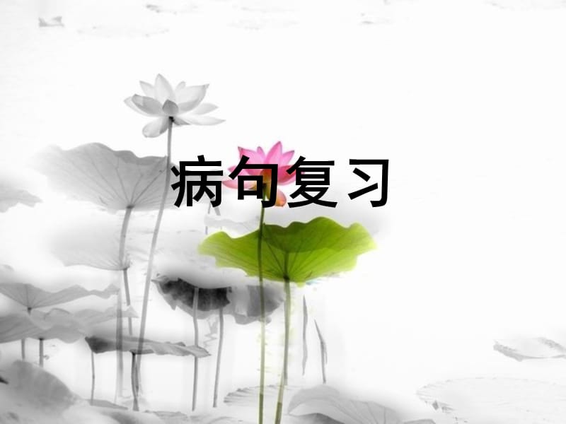 詳細病句一輪復(fù)習(xí)專用.ppt_第1頁