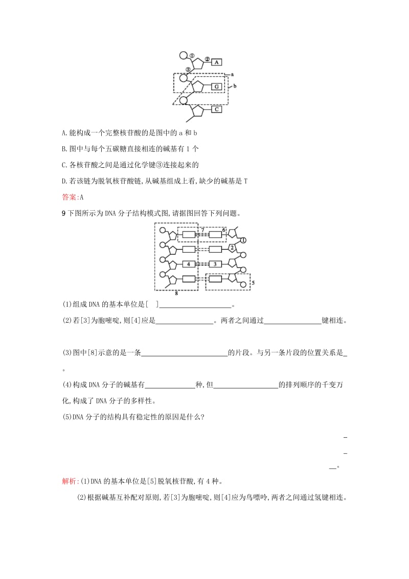 2019高中生物 第3章 基因的本质 3.2 DNA分子的结构练习 新人教版必修1.docx_第3页