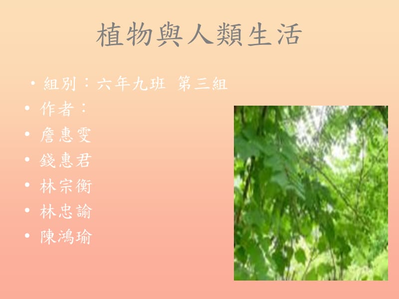 三年級(jí)科學(xué)下冊(cè) 四 植物和我們 1《植物和我們的生活》課件2 新人教版.ppt_第1頁(yè)