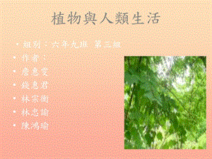 三年級(jí)科學(xué)下冊(cè) 四 植物和我們 1《植物和我們的生活》課件2 新人教版.ppt