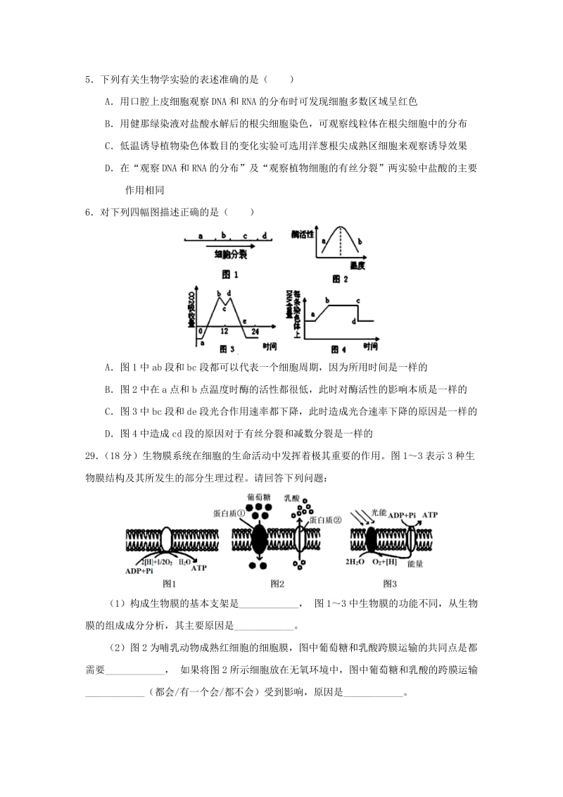 2019届高三生物11月月考试题(无答案).doc_第2页