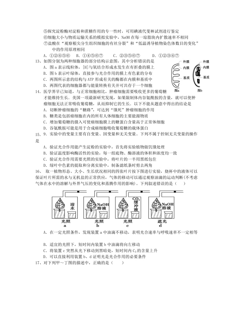 2020届高三生物上学期11月月考试题.doc_第3页