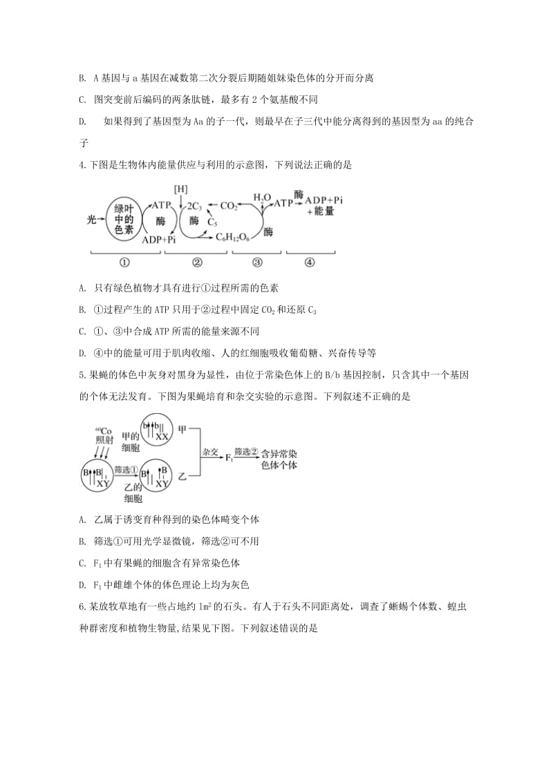 2019届高三生物5月模拟考试试题.doc_第2页