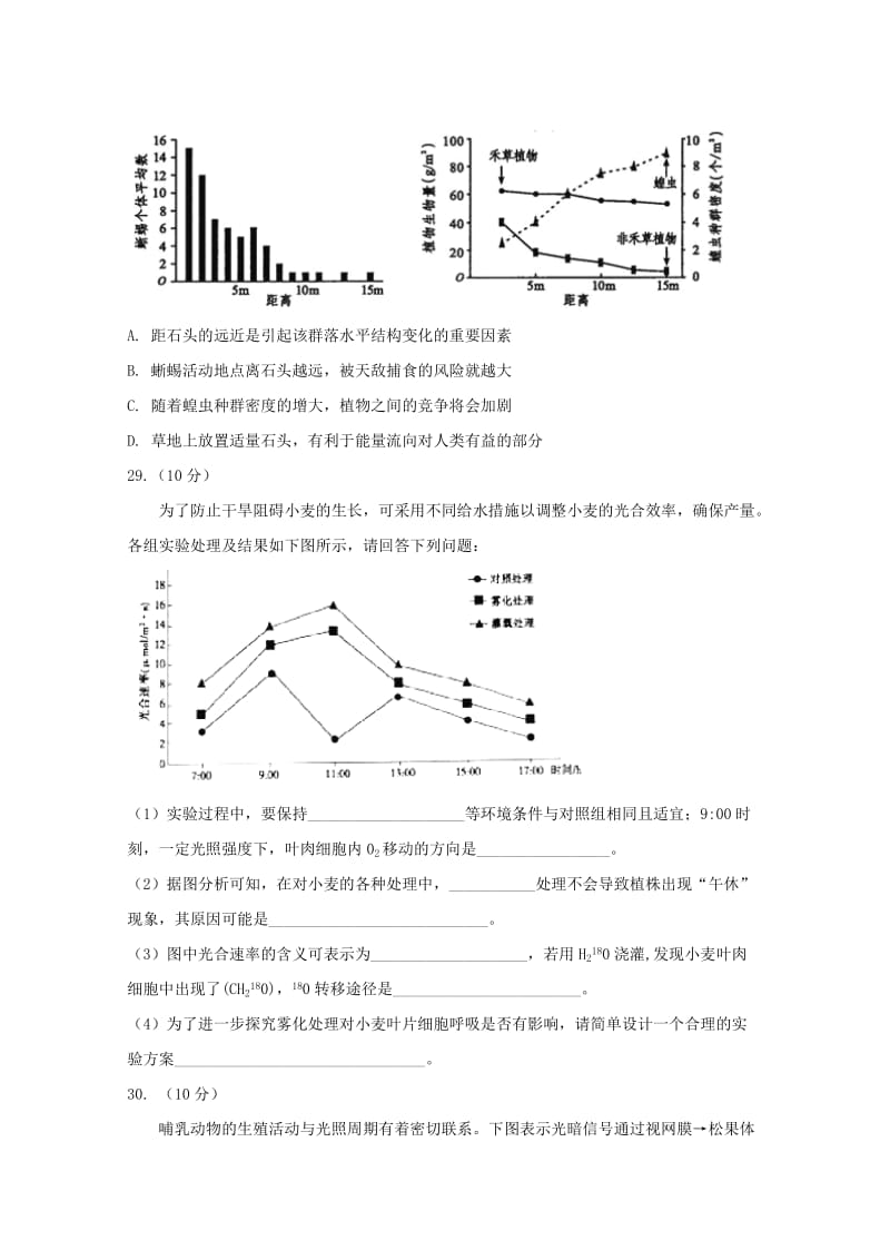 2019届高三生物5月模拟考试试题.doc_第3页