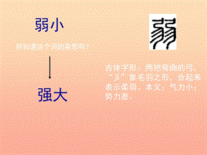 四年級(jí)語(yǔ)文下冊(cè) 14《我不是最弱小的》課件 蘇教版.ppt