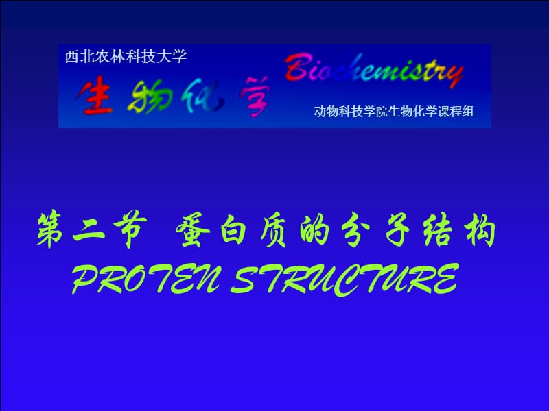 蛋白质的分子结构.ppt_第1页