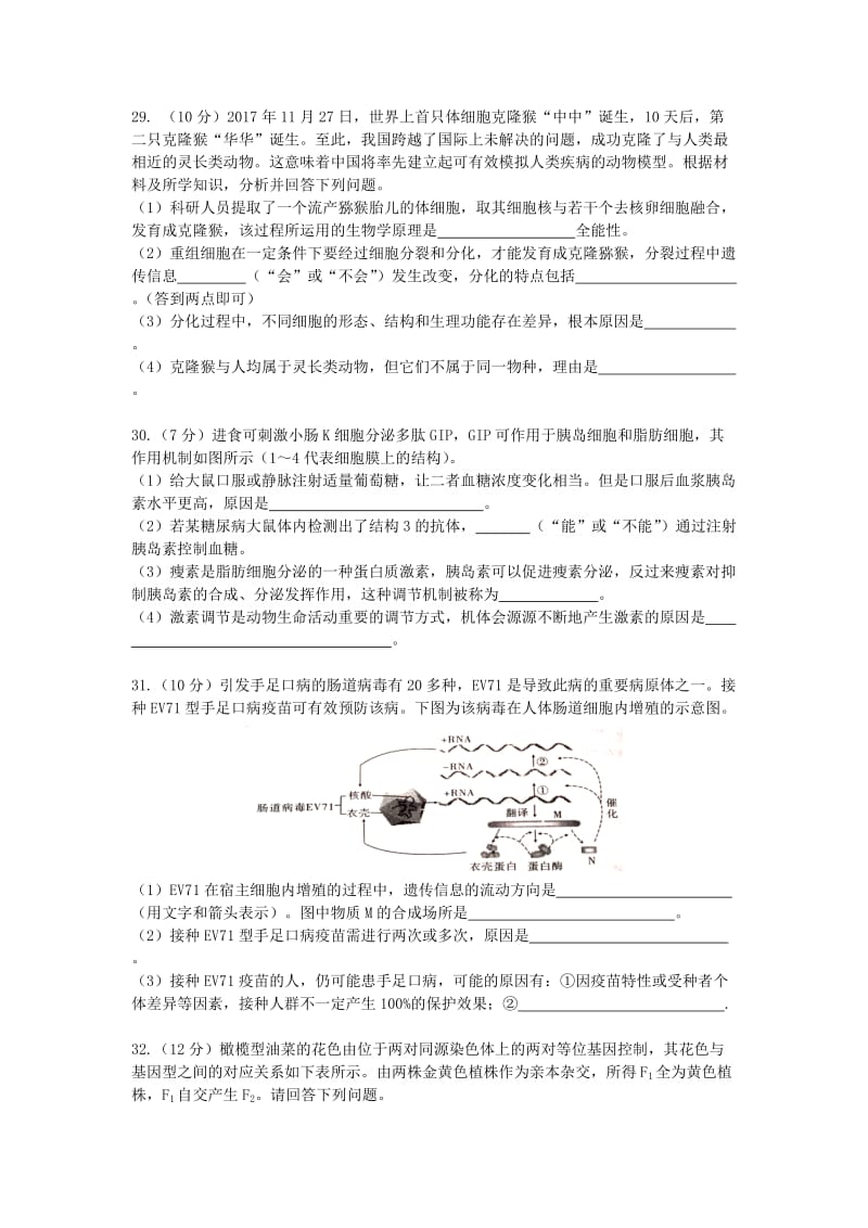 2019届高三生物第十一次模拟考试试题.doc_第2页