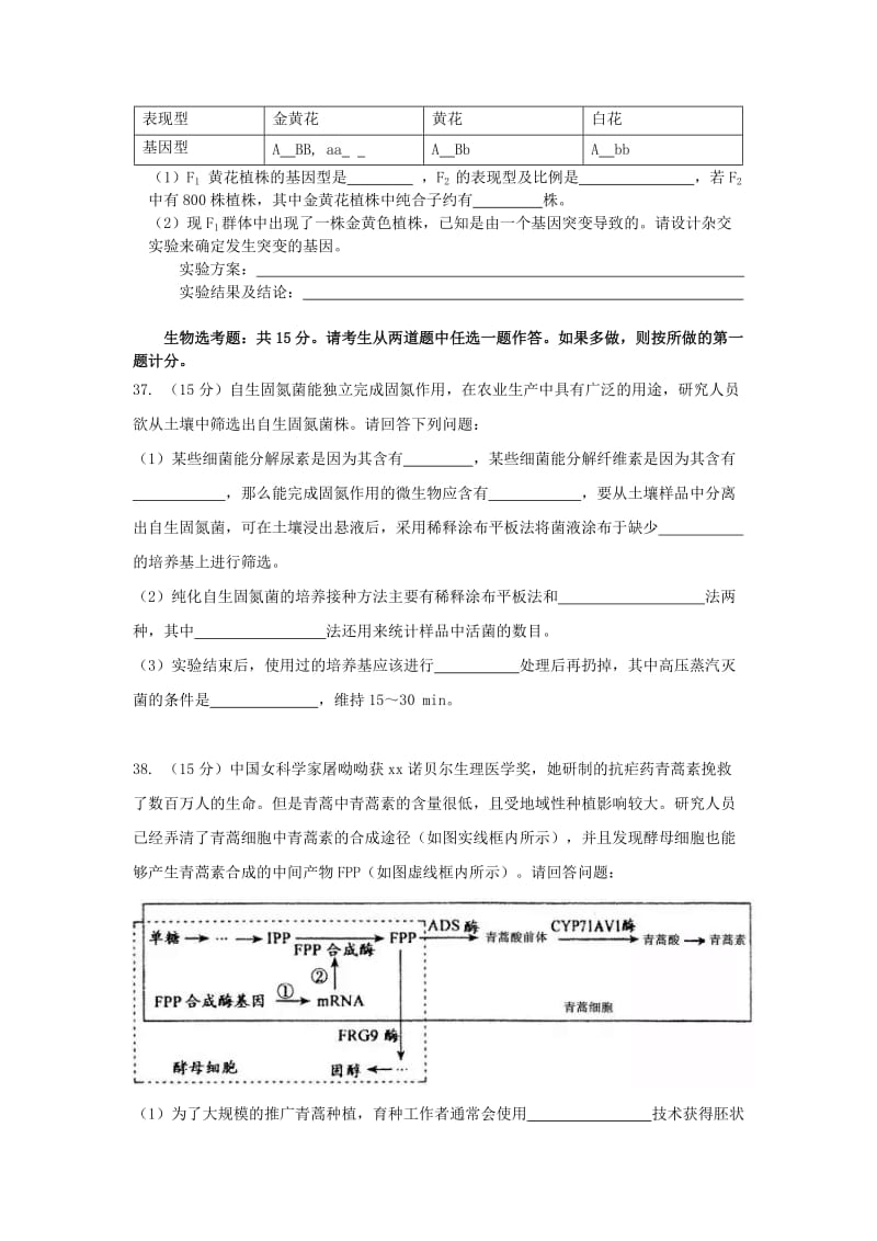 2019届高三生物第十一次模拟考试试题.doc_第3页