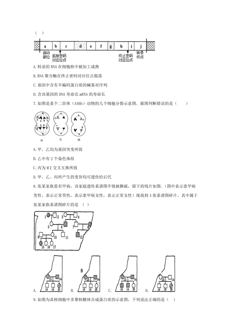 2019-2020学年高一生物下学期期末考试试题(实验班).doc_第2页