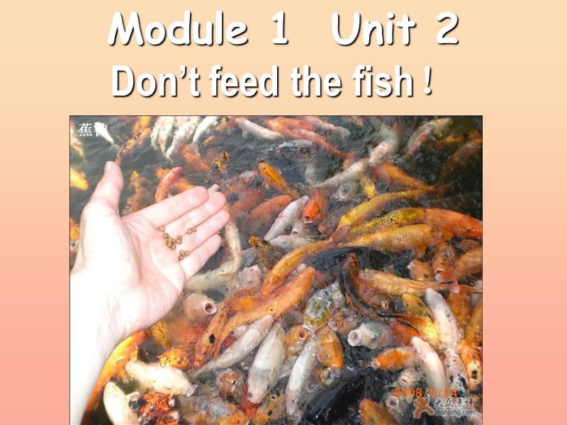 2019春四年级英语下册 Module 1 Unit 2《Don’t feed the fish》课件5 （新版）外研版.ppt_第1页