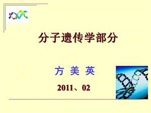 遗传分子基础-2011-方(uploa).ppt