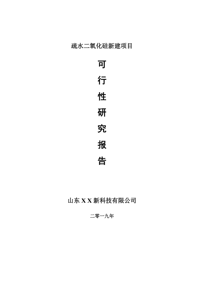 疏水二氧化硅新建项目可行性研究报告-可修改备案申请_第1页