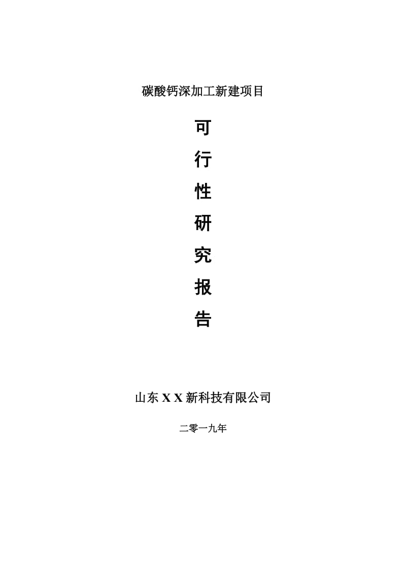 碳酸钙深加工新建项目可行性研究报告-可修改备案申请_第1页