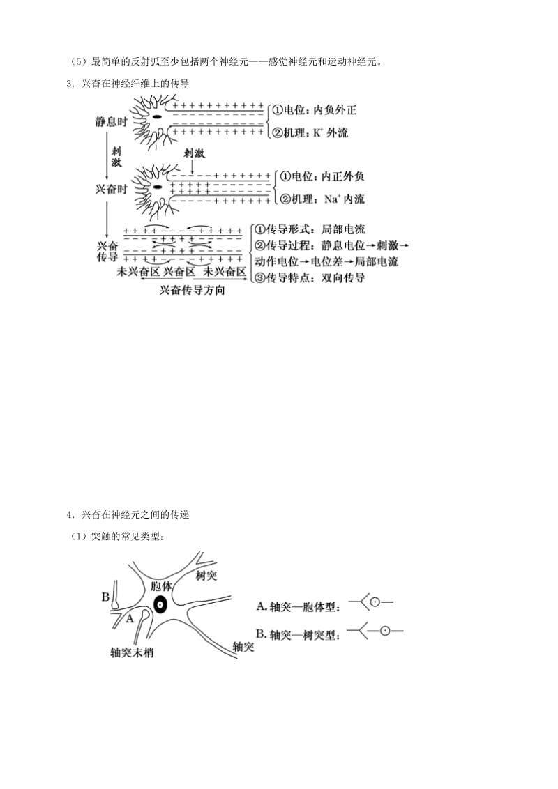 2019高考生物 核心考点特色突破 专题13 动物生命活动的调节.doc_第3页