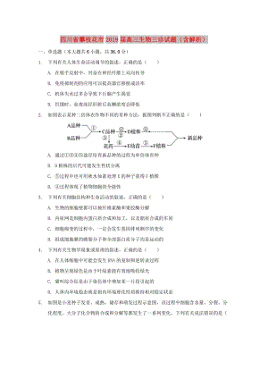 四川省攀枝花市2019屆高三生物三診試題（含解析）.doc