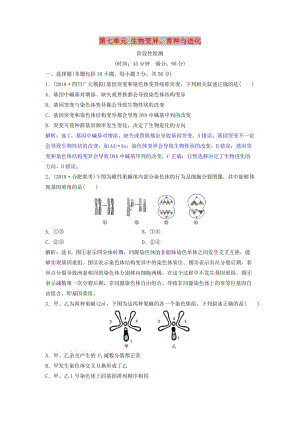 2019屆高考生物總復(fù)習(xí) 第七單元 生物變異、育種與進(jìn)化階段性檢測(cè) 新人教版.doc