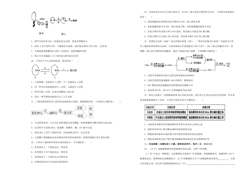 2019年高考生物一轮复习 第六单元 基因的本质和表达单元A卷.doc_第3页