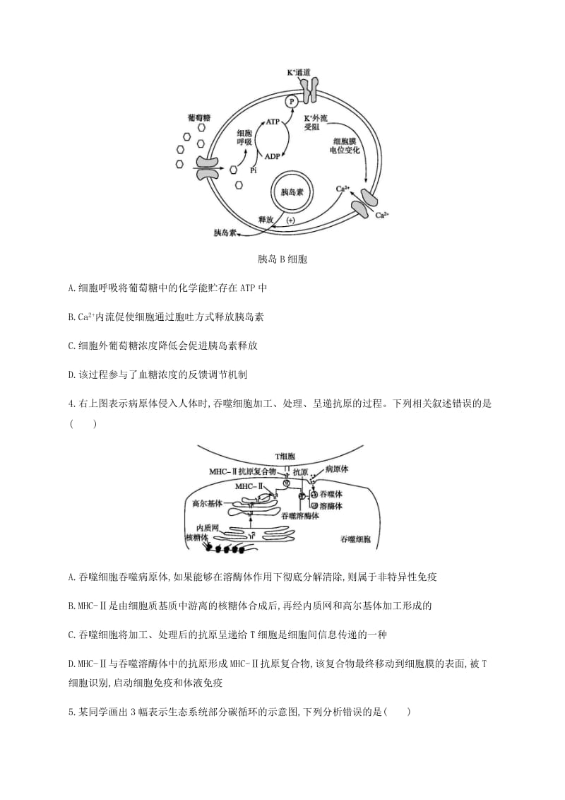 2019年高考生物二轮复习 题型专项训练1 图示、图解类.docx_第2页