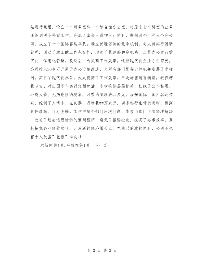 跨国运输企业建设经验材料.doc_第3页