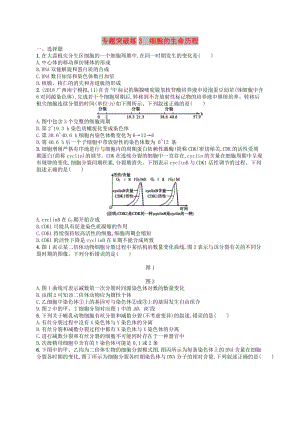 新課標(biāo)廣西2019高考生物二輪復(fù)習(xí)專題一細胞生物學(xué)專題突破練3細胞的生命歷程.doc