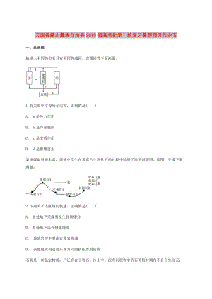 云南省峨山彝族自治縣2019屆高考地理一輪復(fù)習(xí)暑假預(yù)習(xí)作業(yè)五.doc