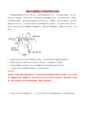 2019年高考生物熱點(diǎn)題型和提分秘籍 專題06 細(xì)胞器——系統(tǒng)內(nèi)的分工合作題型專練.doc