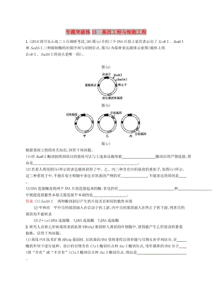 2019版高考生物二輪復(fù)習(xí) 專(zhuān)題突破練 專(zhuān)題六 生物工程與技術(shù) 專(zhuān)題突破練15 基因工程與細(xì)胞工程.doc