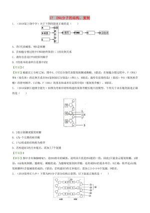 2019高考生物二輪復(fù)習(xí) 小題瘋狂專練17 DNA分子的結(jié)構(gòu)、復(fù)制.doc