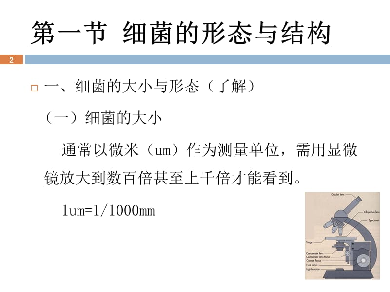 细菌概述ppt课件_第2页