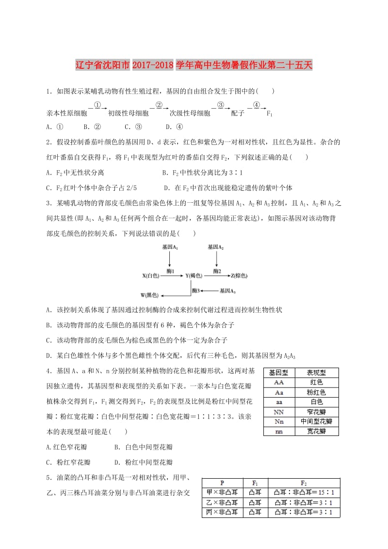 辽宁省沈阳市2017-2018学年高中生物 暑假作业 第二十五天.doc_第1页