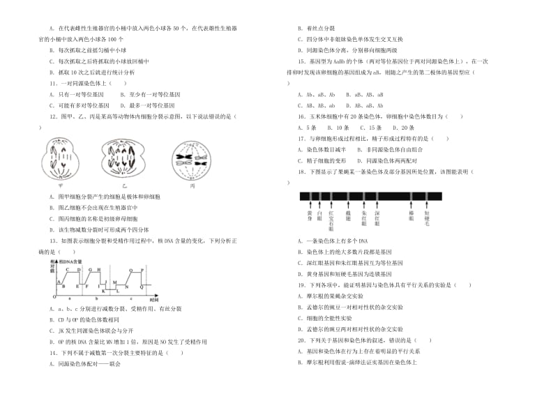 2019高中生物 第一、二单元 遗传因子的发现、基因和染色体的关系单元测试（二）新人教版必修2.doc_第2页