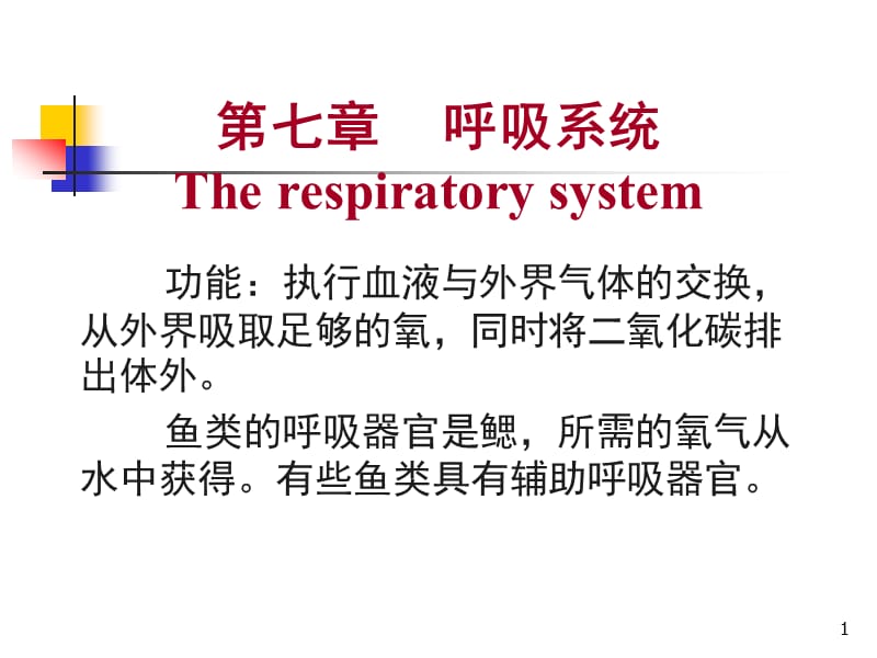 鱼类的呼吸系统ppt课件_第1页