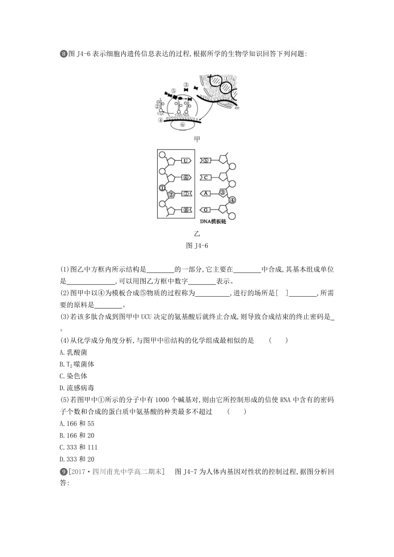 2019年高中生物 第4章 基因的表达基础排查训练（含解析）新人教版必修2.doc_第3页