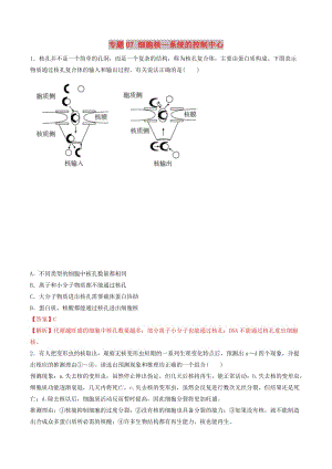 2019年高考生物熱點(diǎn)題型和提分秘籍 專題07 細(xì)胞核—系統(tǒng)的控制中心題型專練.doc