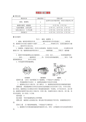 2019高考物理總復(fù)習(xí) 考查點(diǎn)14 磁場考點(diǎn)解讀學(xué)案.doc