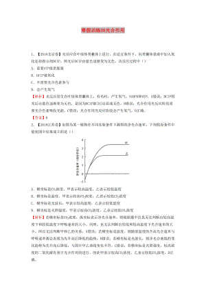 2018-2019學(xué)年高一生物 寒假訓(xùn)練08 光合作用.docx