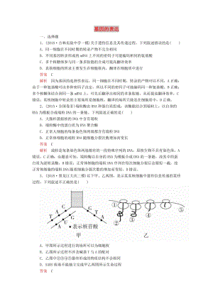 2020年高考生物一輪復(fù)習(xí) 第6單元 遺傳的物質(zhì)基礎(chǔ) 第20講 基因的表達(dá)課后作業(yè)（含解析）（必修2）.doc