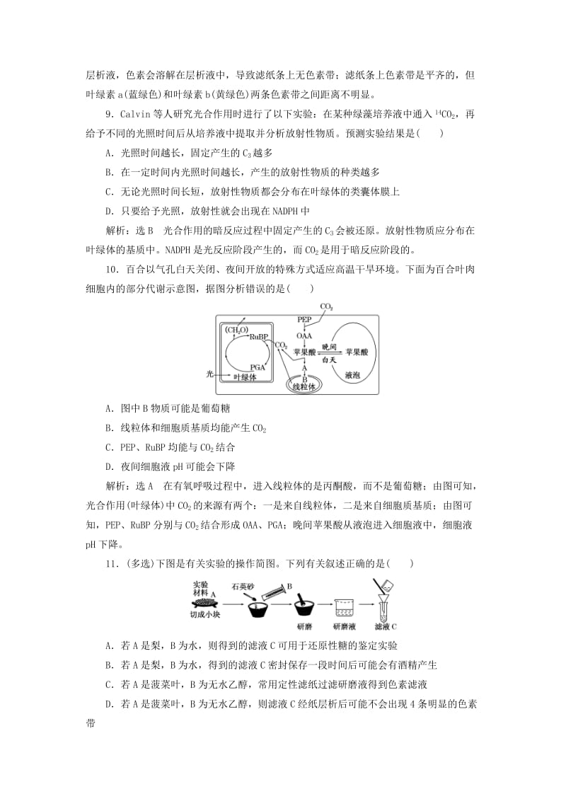 （江苏专版）2020版高考生物一轮复习 课时跟踪检测（十一）光合作用的探究历程与基本过程（含解析）.doc_第3页