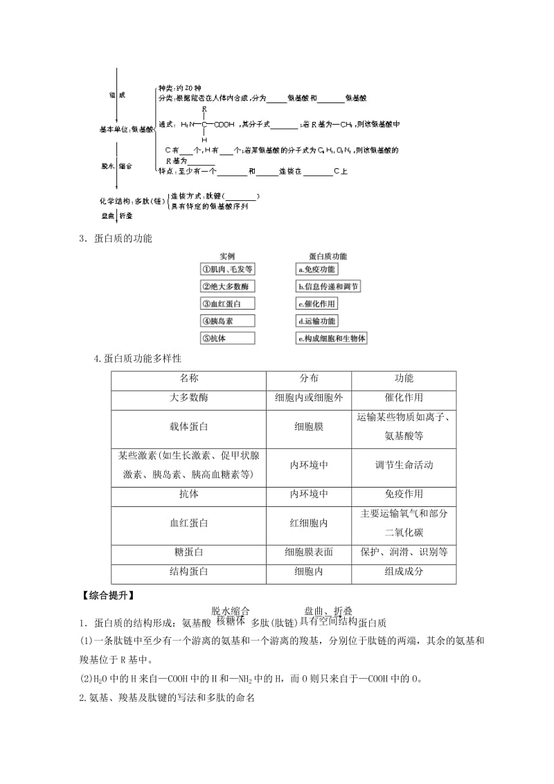 广东省惠州市2019年高考生物总复习 2-3 蛋白质学案.doc_第2页