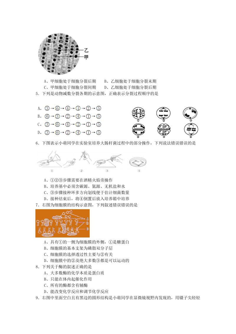 上海市松江区2019届高三生物上学期期末质量监控试题.doc_第2页