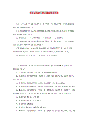 2018-2019學年高一化學 寒假訓練05 鈉及其重要化合物.docx