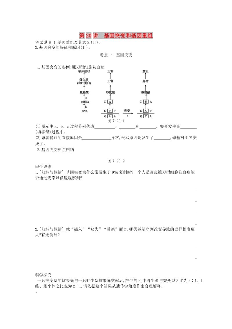 2019版高考生物一轮复习 第7单元 变异、育种与进化 第20讲 基因突变和基因重组学案 苏教版.doc_第1页