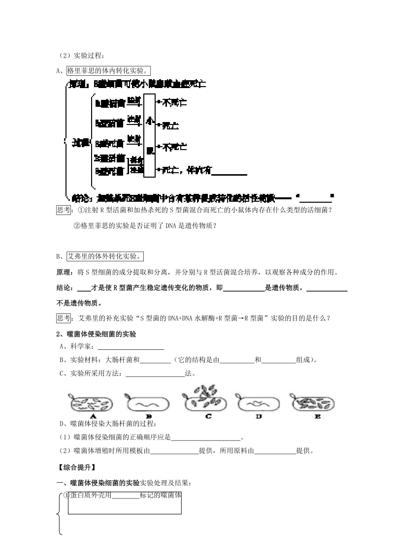 广东省惠州市2019年高考生物总复习 3-1 DNA是主要的遗传物质学案.doc_第2页