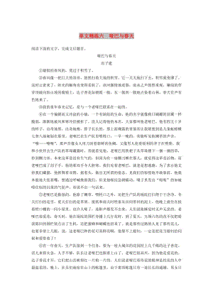 浙江省2020版高考語(yǔ)文一輪復(fù)習(xí) 加練半小時(shí) 閱讀突破 第三章 專題一 單文精練六 啞巴與春天.docx