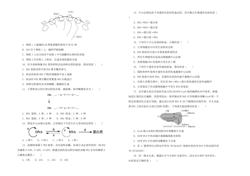 2019高中生物 第四单元 基因的表达单元测试（二）新人教版必修2.doc_第2页