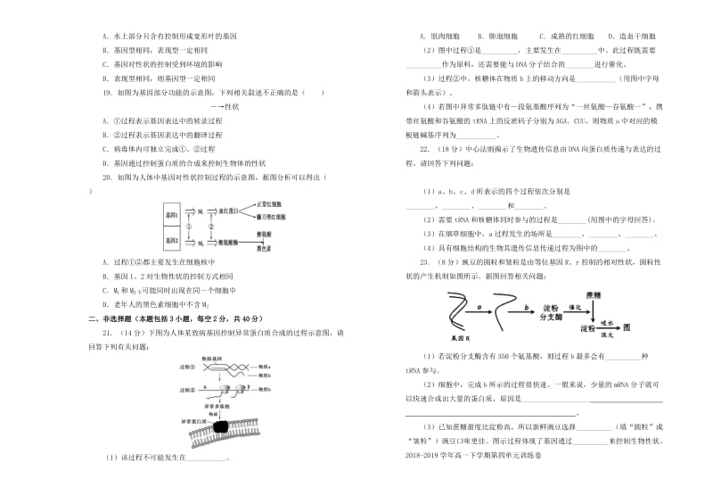 2019高中生物 第四单元 基因的表达单元测试（二）新人教版必修2.doc_第3页