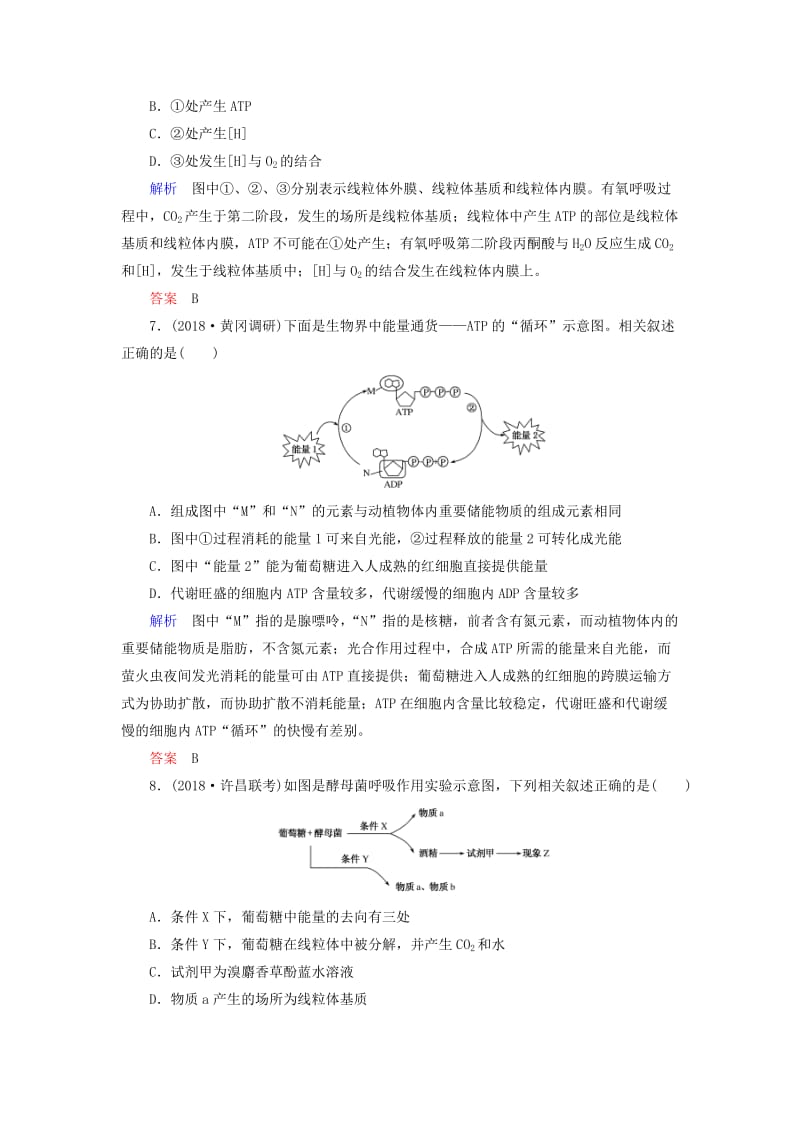 2020高考生物一轮复习 配餐作业9 ATP与细胞呼吸（含解析）.doc_第3页